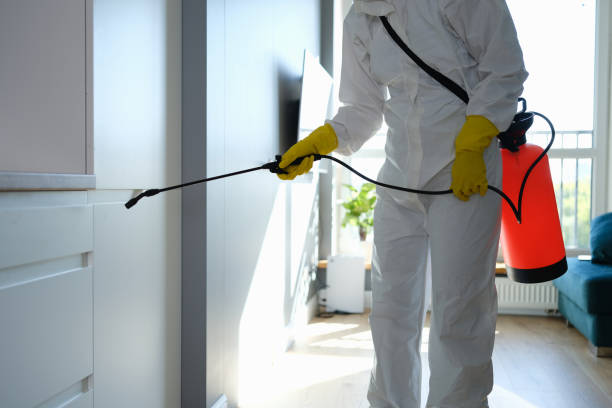 Best DIY Mold Remediation Support Services in South Carthage, TN