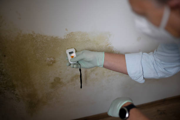 Best Health and Safety Mold Remediation in South Carthage, TN